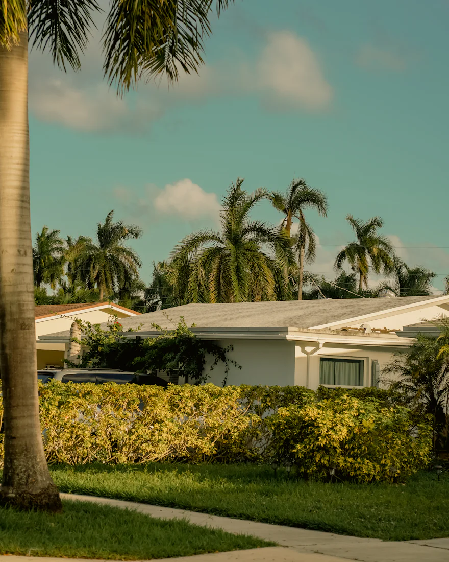 A North Naples home with a palm out front