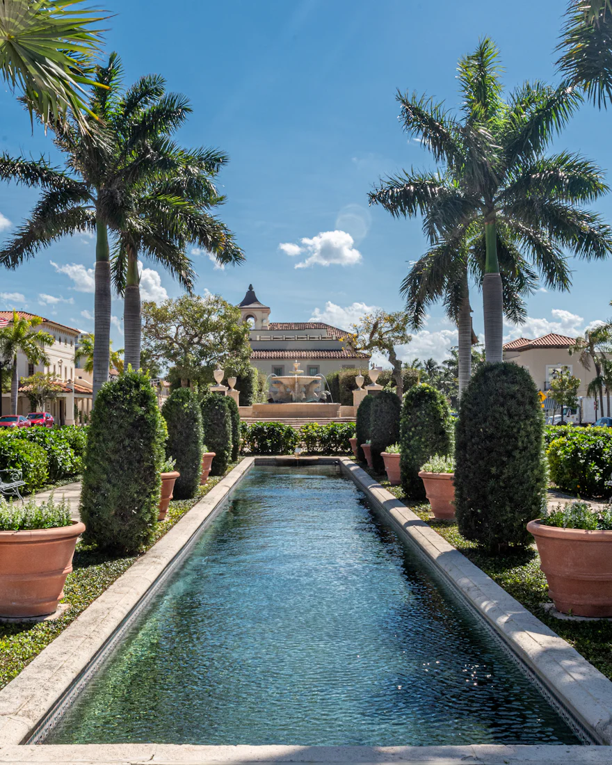 A Florida home with a pool and palm trees